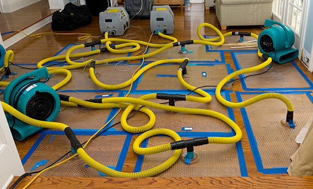Professional Basement Flood Cleanup technician working in Elko New Market, MN
